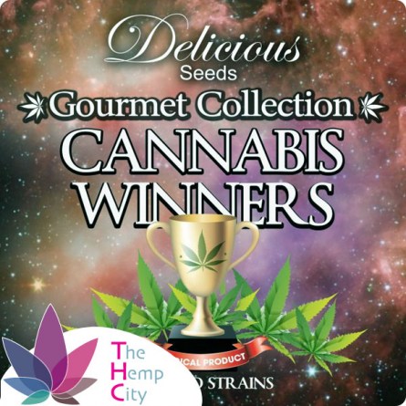Gourmet Collection - Cannabis Winner Strains 1# 