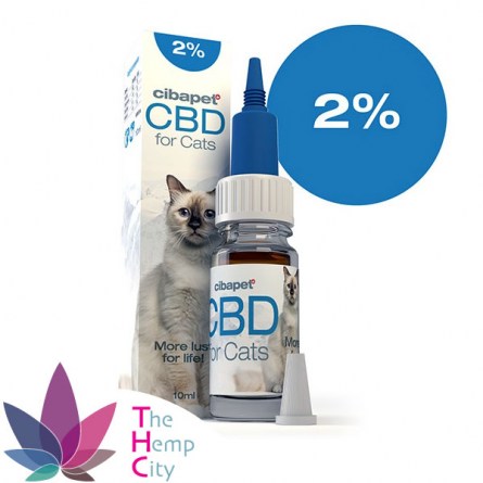CBD Oil For Cats 2%