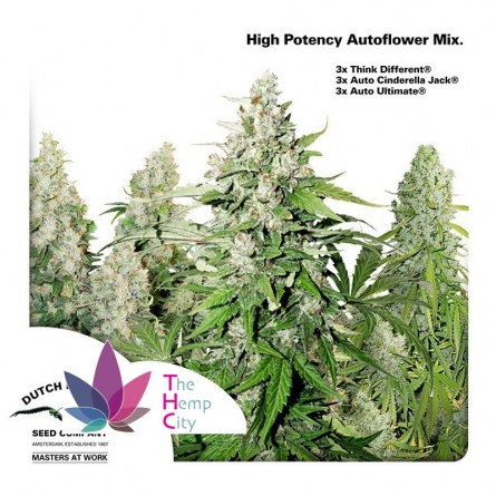 High Potency Autoflower Mix